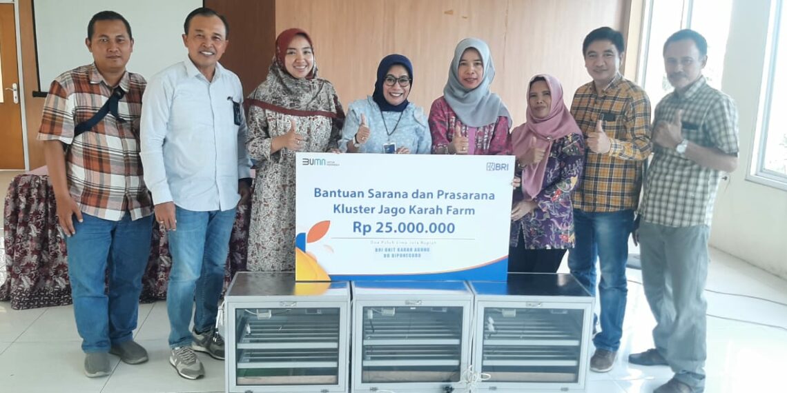 Program Pemberdayaan BRI Bikin Peternakan Ayam di Surabaya Ini Berkembang dan Bisa Bantu Banyak Orang