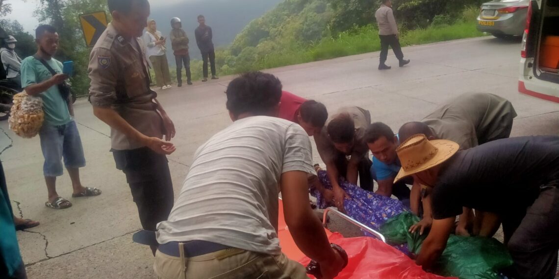 Sopir Truk CPO Melarikan Diri Pasca Kecelakaan Maut di Sitinjau Lauik Padang, Pengendara Motor Meninggal Ditempat