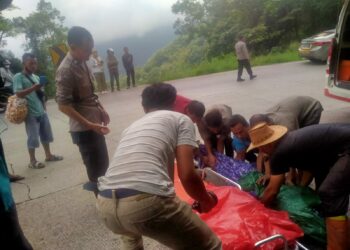 Sopir Truk CPO Melarikan Diri Pasca Kecelakaan Maut di Sitinjau Lauik Padang, Pengendara Motor Meninggal Ditempat