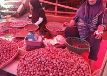Pasca Lebaran, Harga Bawang Merah Masih Tinggi, Cabai Turun