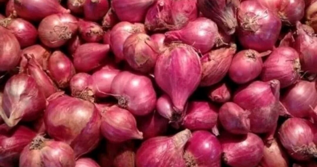 Harga Bawang Merah di Solok Pasca Lebaran Naik, Sekilo Rp 48 ribu