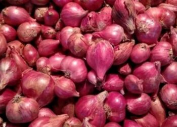Harga Bawang Merah di Solok Pasca Lebaran Naik, Sekilo Rp 48 ribu
