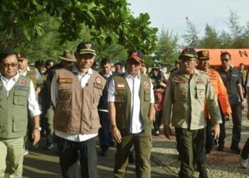 HKBN 2024, 100 Pohon Cemara Laut Ditanam di Pantai Danau Cimpago Padang