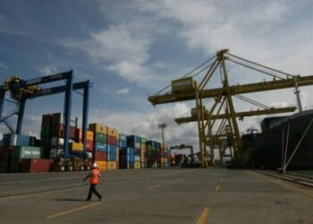 Ekspor Asal Sumbar Februari 2024 Paling Banyak Dikirim ke India