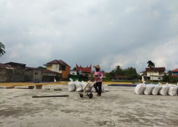 Puluhan Pengusaha Penggilingan Padi di Kota Solok Sudah Registrasi PSAT -PDUK