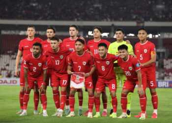 Timnas Indonesia (PSSI)