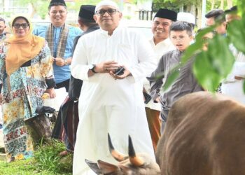 Idul Adha 1445 H Tahun 2024 Ini, Total Hewan Kurban di Kota Padang sebanyak 8.047 ekor