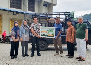 Apical Group Sumbangkan Hewan Kurban dalam Rangka Idul Adha 1445 Hijriah