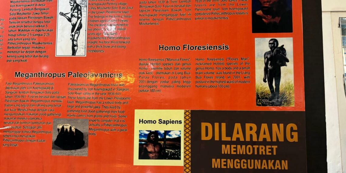 VIRAL Homo Sapiens Ditulis Gay Men, Pihak Museum Adityawarman Sebut Kealpaan di Masa Lalu