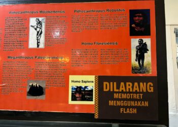 VIRAL Homo Sapiens Ditulis Gay Men, Pihak Museum Adityawarman Sebut Kealpaan di Masa Lalu