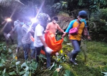 Mayat Tanpa Identitas Ditemukan Dalam Semak di  Padang Pariaman