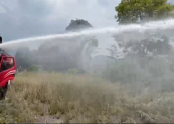 Kebakaran di Taman Hutan Kota Wisata Solok, Damkar Gerak Cepat Padamkan agar Tidak Lebih Meluas