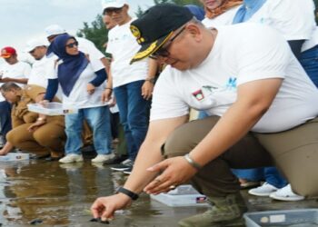 Pelepasan 355 Tukik Tandai Peluncuran Penyu sebagai Maskot Resmi Pemko Padang