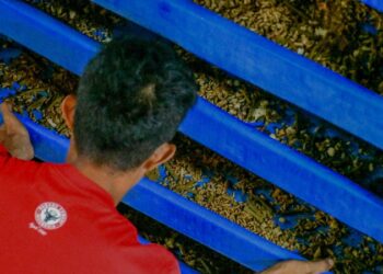 Jadi Atensi Pemko Padang, Sentra Budidaya Maggot BSF Solusi Mengatasi Persoalan Sampah Rumah Tangga