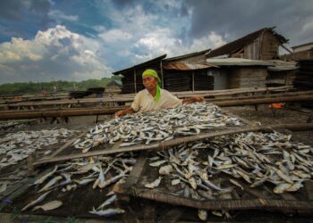 Konsisten Dalam Pemberdayaan UMKM, BRI Menjadi Salah Satu BUMN dengan Praktik ESG Terbaik