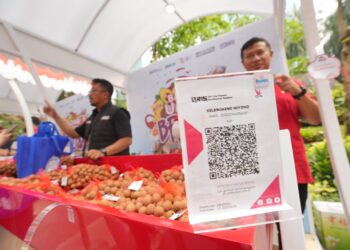 Melalui Pemberdayaan, BRI Angkat Potensi Klaster Buah Kelengkeng di Tuban