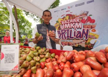 Kisah Pengusaha Jambu di Kudus, Sukses Kembangkan Usaha Berkat Pemberdayaan BRI