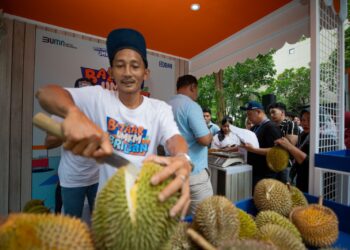 Kelompok Petani Durian di Pekalongan Makin Berkembang Berkat Pemberdayaan BRI