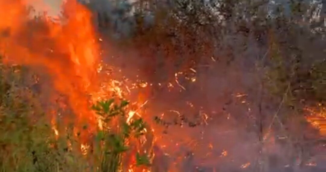 Panas Terik, Satu Hektar Lahan Terbakar di Saniangbaka