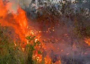 Panas Terik, Satu Hektar Lahan Terbakar di Saniangbaka