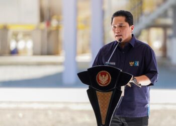 Dividen BUMN Capai Rp 85,5 Triliun di 2024, Target 2025 Naik Jadi Rp 90 Triliun