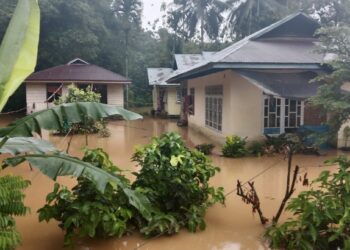 Banjir di Pesisir Selatan: Akses Jalan Terputus, Lima Kecamatan Terendam