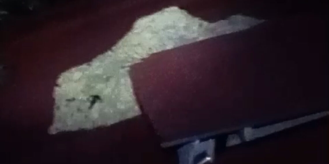 Damkar Kabupaten Solok Evakuasi Sarang Tawon di Atap Rumah Warga