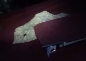 Damkar Kabupaten Solok Evakuasi Sarang Tawon di Atap Rumah Warga