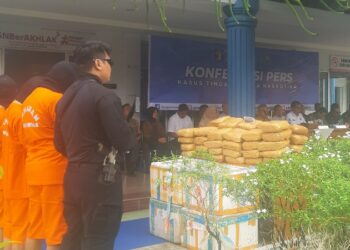BNNP Sumbar Gagalkan Pengiriman 53 Paket Besar Ganja dari Penyabungan ke Kota Padang