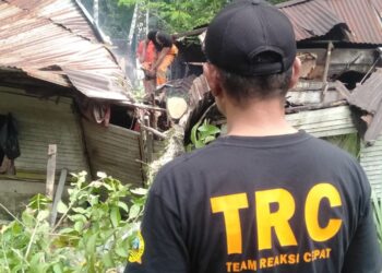 Hujan Deras dan Angin Kencang, Pohon Tumbang Timpa Rumah Warga di Padang