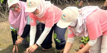 PLN Terapkan Kesetaraan Gender dan Inklusifitas di Lingkungan Kerja Berstandar Internasional