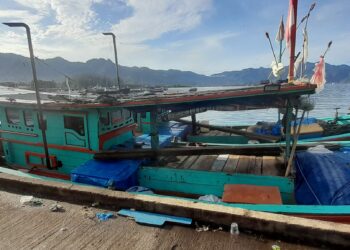 Tak Jera Dirazia, Kapal Pukat Harimau Tetap Marak di Punggasan dan Inderapura