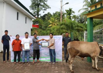 Berbagi Berkah Idul Adha: PT PTP Cabang Teluk Bayur Qurban untuk Masyarakat