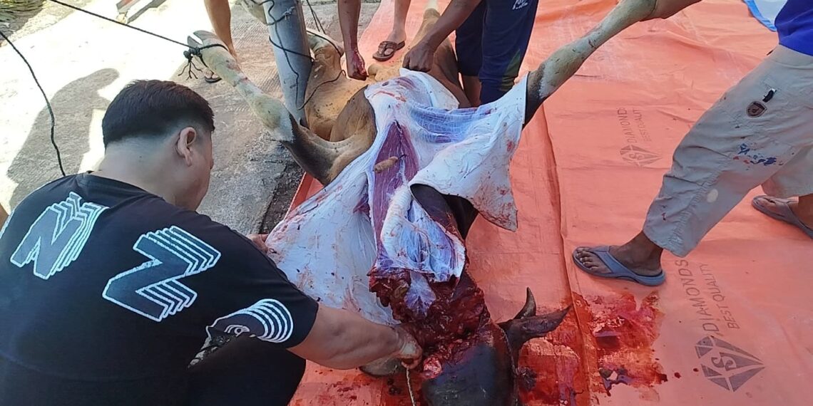 Rutan Padang Laksanakan Penyembelihan Hewan Kurban Sambut Idul Adha 1446H